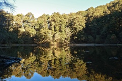 DSC00363a